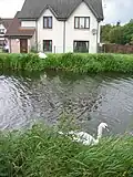 Union Canal