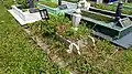 A closeup shot of a grave in burial plot S-1-1.