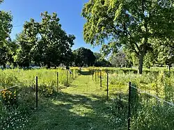 Uptown Natural Area