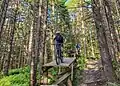 Mountain bike