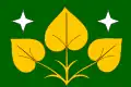 Flag of Výprachtice