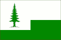 Flag of Valy