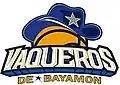 Previously used logo