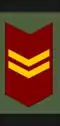 Cabo primero (Venezuelan Army)[21]