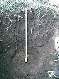 Vertic Calcaric Phaeozem