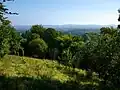 Wealden Edge Hangers