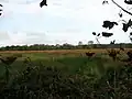 Priory Meadows, Hickling