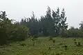 Entry points on the hills