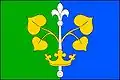Flag of Bohaté Málkovice