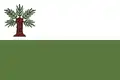 Flag of Vidnava