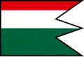 Flag of Vlkovce