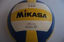 Indoor volleyball