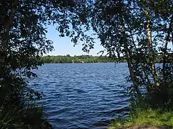 Vriezenveen