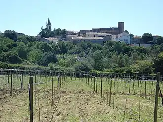A general view of Montpezat