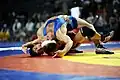 Army World Class Athlete Program, 2010 World Team Trials for USA Wrestling.