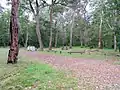 Campground at Wadbilliga National Park