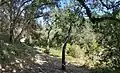 The Wallace Stegner Pathway along Matadero Creek in Los Altos Hills, California