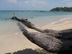 Wandoor Beach is an attraction of Mahatma Gandhi Marine National Park.