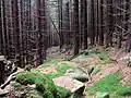 Old path to the Stangenklippe crag