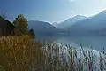 Weissensee, northern shore