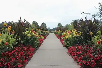 Welcome Walk.