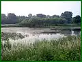 Wetlands at the Argos Izaak Walton League Historic District