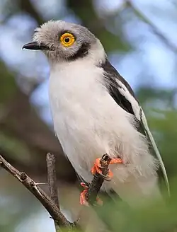 Marakele National Park, Limpopo, South Africa