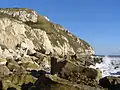 The headland from the shore below the undercliff