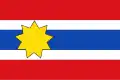Flag of Wyns