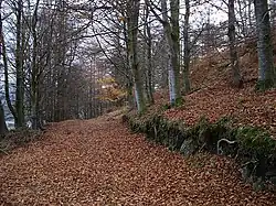 A path inside Knock Mary