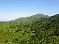 Yakushima Mitake, Mount Miyanoura, Mount Nagata, and Mount Kurio