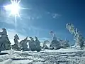 Summit of Yokote-yama - 2,305&nbsp;m (7,562&nbsp;ft) above sea level - Shiga-kōgen, 2009