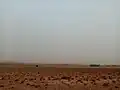 Zaida sandstorm