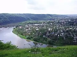 Zalishchyky