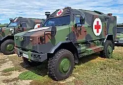 Serbian Dingo 2