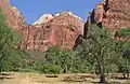 Castle Dome from Zion Lodge