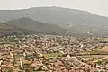 Zygos