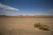 Road in the Namib Desert in the Namib-Naukluft National Park