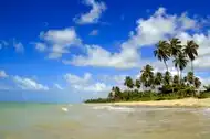 São Miguel dos Milagres Beach