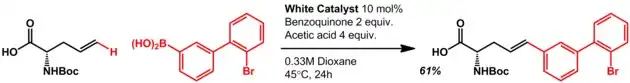 Oxidative Heck Reaction Scheme